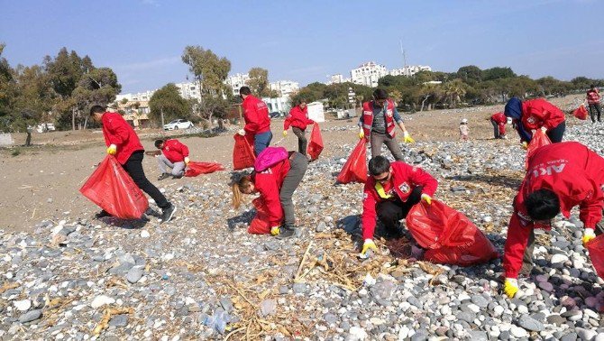 Mersin’de Carettaların Yuvalama Alanı Temizlendi