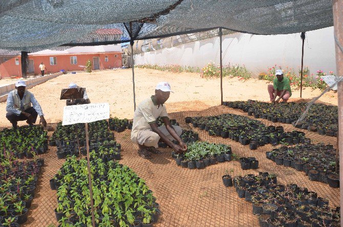 Somali Tarım Okulu Projesi "Yılın Projesi" Seçildi