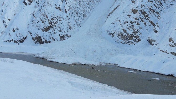 Hakkari’de 15 Çığ Temizlendi