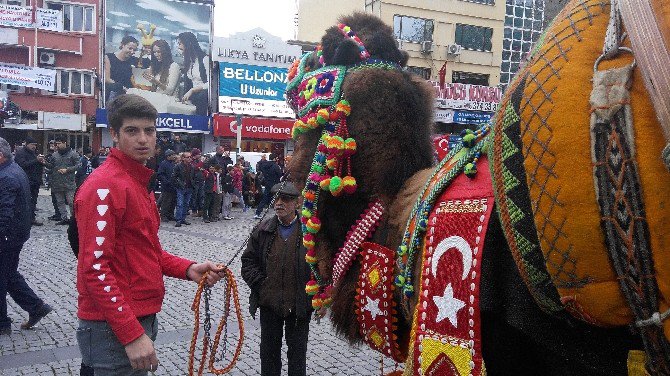 Develer Görücüye Çıktı