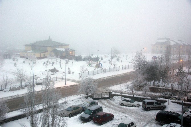 Erzurum’da Yoğun Sis Uçak Seferlerini Aksattı