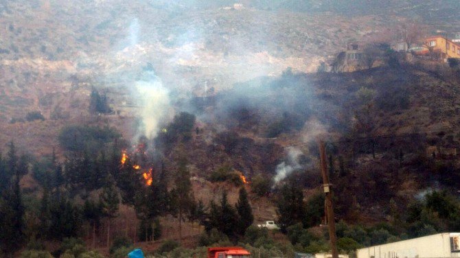 İskenderun’da Orman Yangını