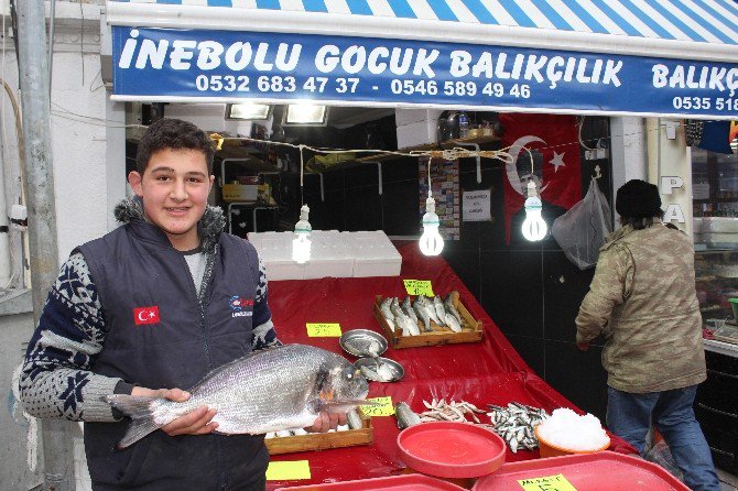 4 Kiloluk Çupra Balıkçıları Şok Etti