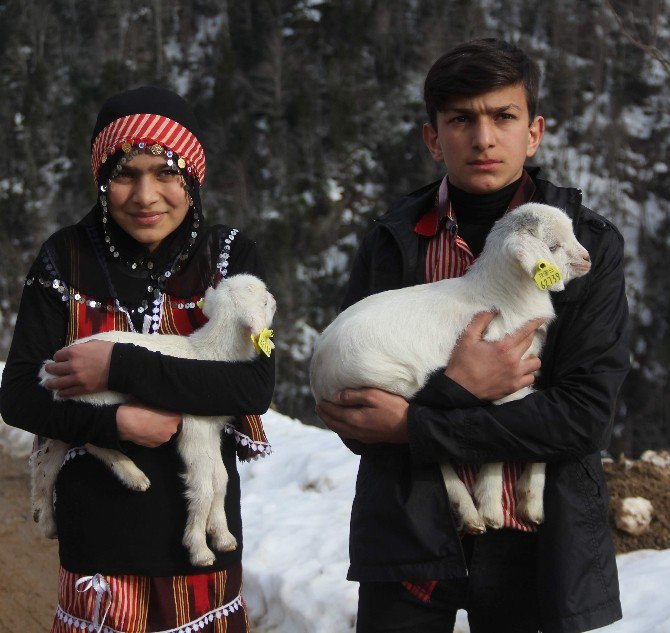 Rizeli Heidi’nin Hayvan Sevgisi Karşılıksız Kalmadı