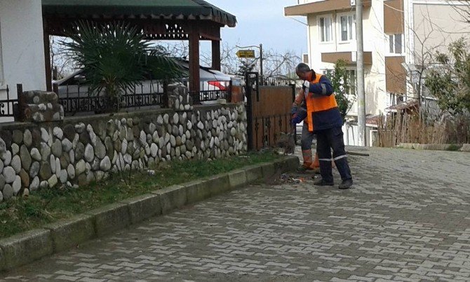 Akçakoca’da Temizlik Çalışmaları Gece Gündüz Sürüyor