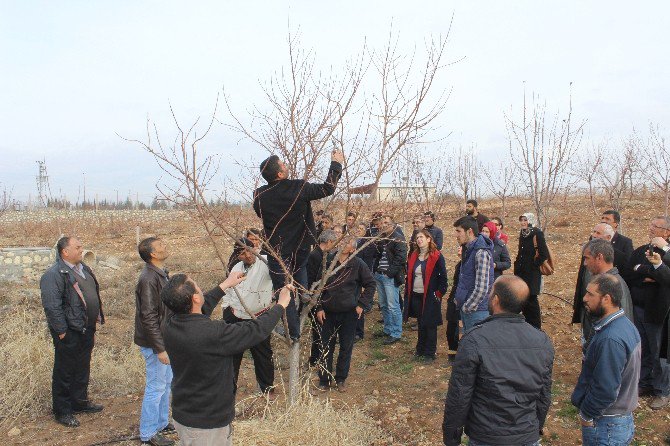 Adıyaman’da Çiftçiler Eğitiliyor