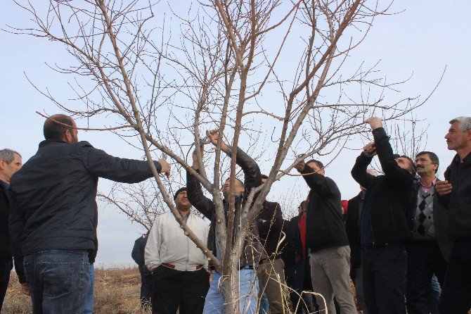 Adıyaman’da Çiftçiler Eğitiliyor