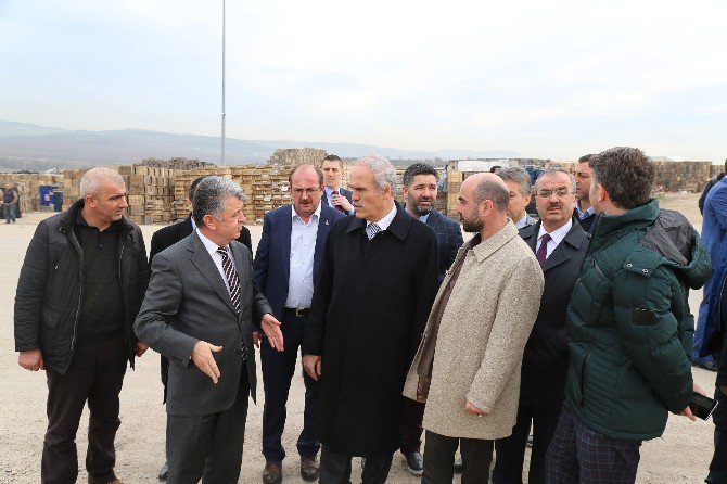 Tarladan Tüketiciye Sağlıklı Gıda