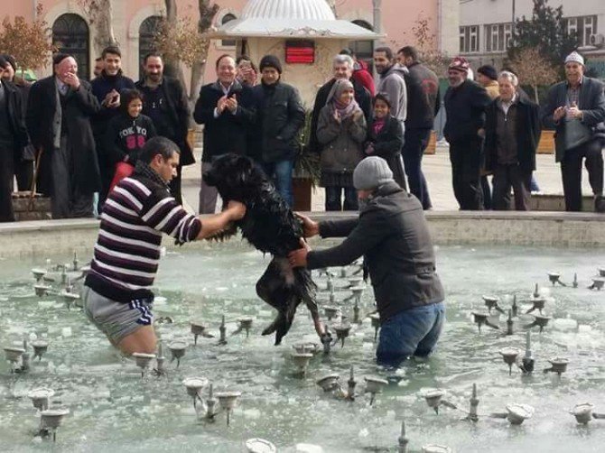 Buzda Sıkışan Köpeği Vatandaşlar Kurtardı