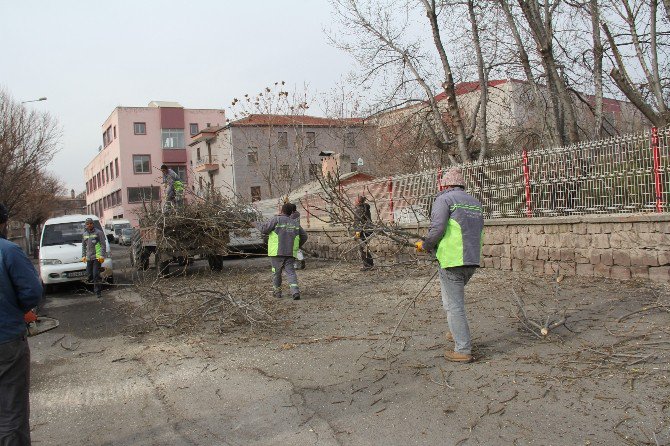 Yeşil Bir İncesu İçin Çalışmalar Devam Ediyor