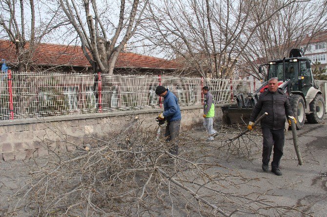 Yeşil Bir İncesu İçin Çalışmalar Devam Ediyor