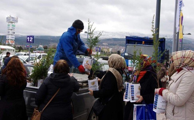 1 Yılda 83 Bin Fidan Ücretsiz Olarak Dağıtıldı