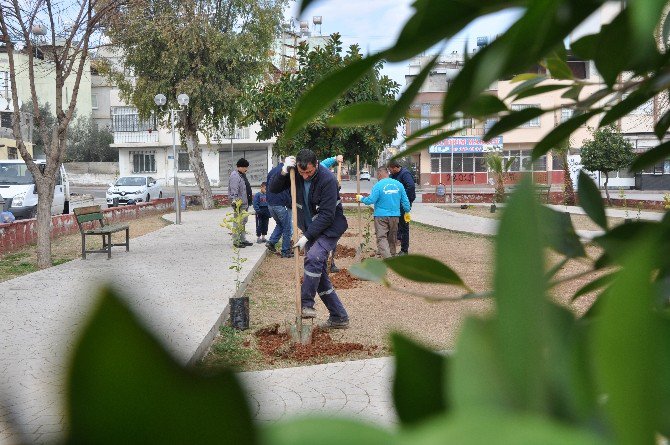 Toroslar’da Yeşil Alanlar Her Geçen Yıl Artıyor