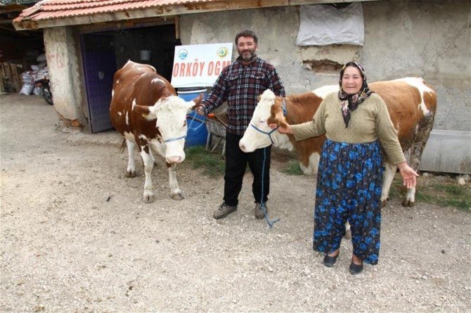 Tokat’ta Orman Köylülerine 14 Yılda 33 Milyon Tl’lik Destek