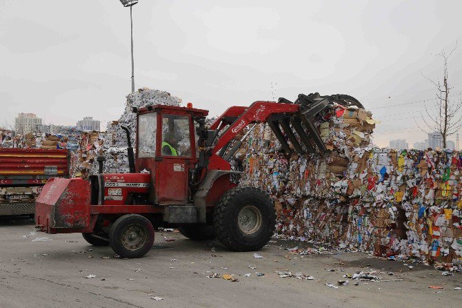 Bağcılar’da 1 Yılda 174 Bin 420 Ağaç Kesilmekten Kurtarıldı