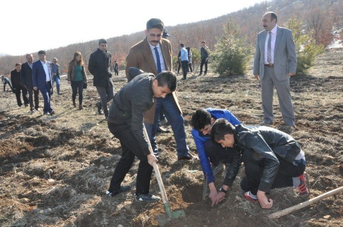 Gölbaşı Metem Hatıra Ormanına 2 Bin Fidan Dikildi