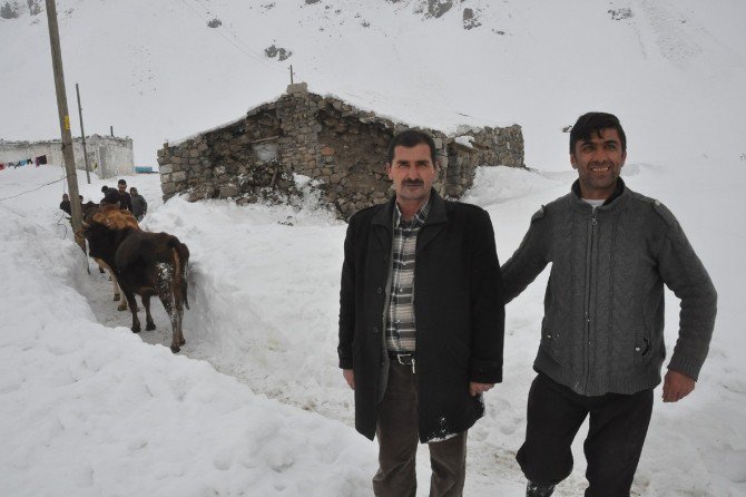 Ağrı’da 4.5 Büyüklüğündeki Deprem Hasara Yol Açtı