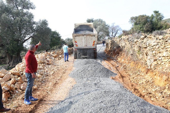 Bodrum’da Çalışmalar Mazı’da Devam Ediyor