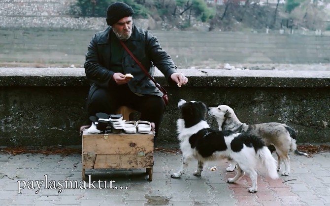 Belediyenin Sevgililer Günü Klibi Büyük İlgi Gördü