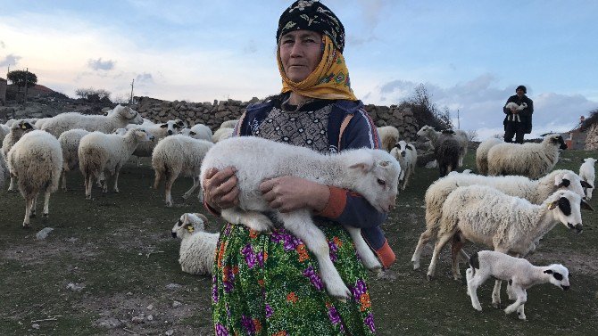 Deprem Bölgesinde Hayat Normale Dönüyor