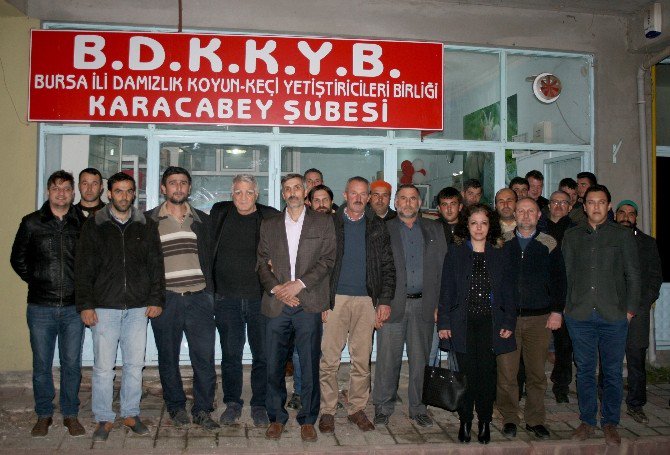 Sertifikalı Çobanlar 5 Bin Lira Alacak