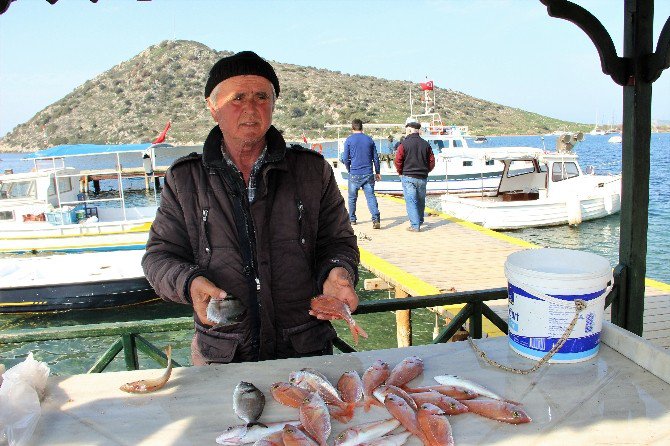 Balıkçılar Kardak Kayalıklarında Avlanmaktan Korkuyor