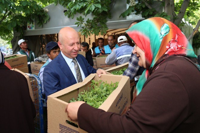 Kocasinan Belediyesi’nden Çiftçilere Yeni Gelir Kapısı