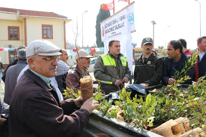 Gazipaşa’da 6 Bin 900 Fidan Dağıtıldı