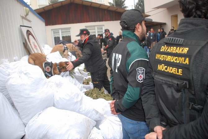 Diyarbakır’da Uyuşturucu Ve Kaçakçılık Operasyonu