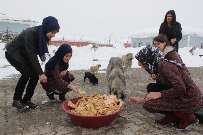 Öğrencilerden Örnek Davranış