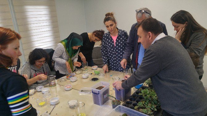 Zeytinburnu Tıbbi Bitkiler Bahçesi’nde Teraryum Eğitimi