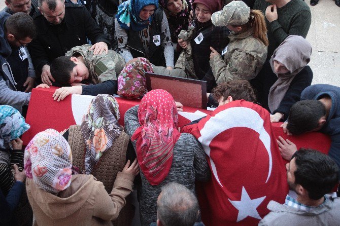 Ailesi Topluca Şehidin Tabutuna Sarılarak Vedalaştı