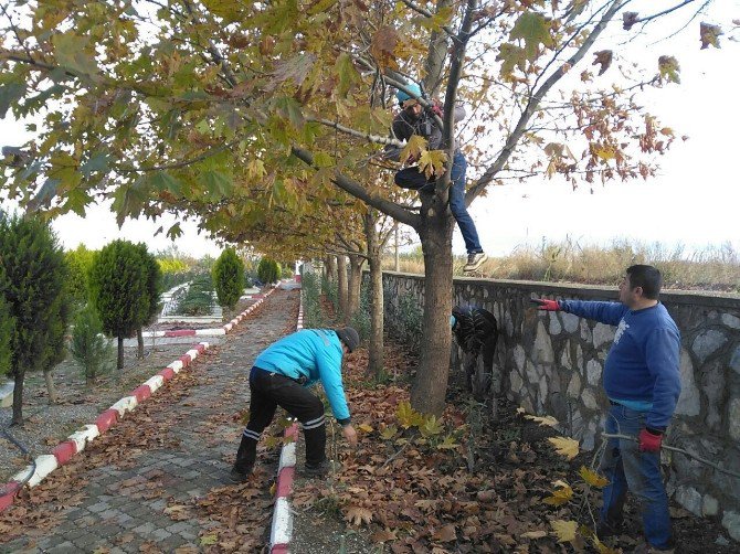 Manisa’daki Mezarlıklar Bakıma Alındı