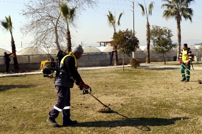 Akdeniz’deki Park Ve Bahçelere Bahar Bakımı