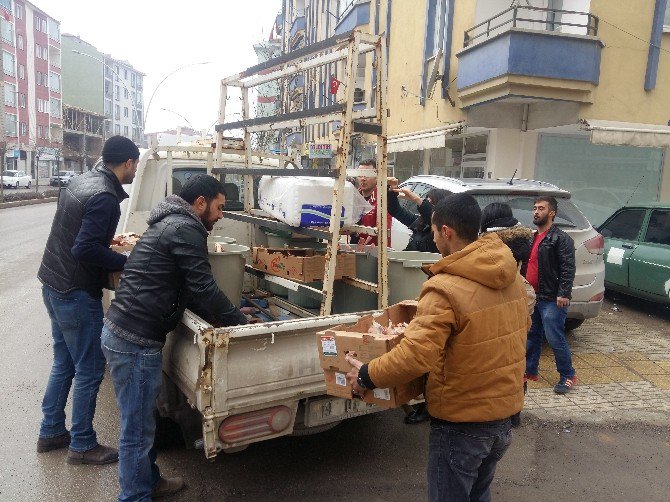 Kadınlar Sokak Hayvanları İçin Seferber Oldu