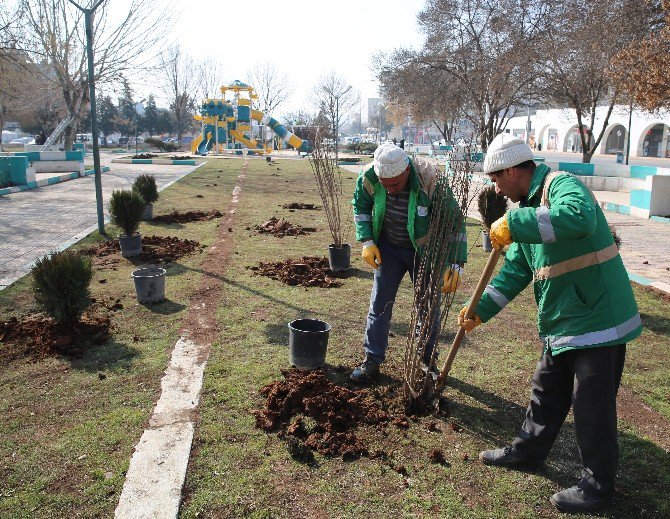 Haliliye’de Parklar Güneşli Günlere Hazırlanıyor