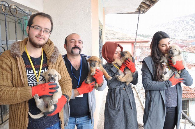 Yozgat’ta Hayvan Koruma Ekibinden Örnek Yardım