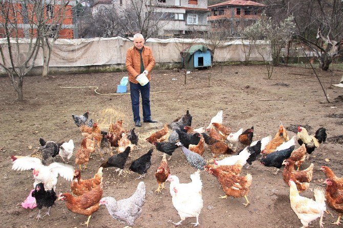 8 Yumurta İle Başladı Şimdi Talebe Cevap Veremiyor