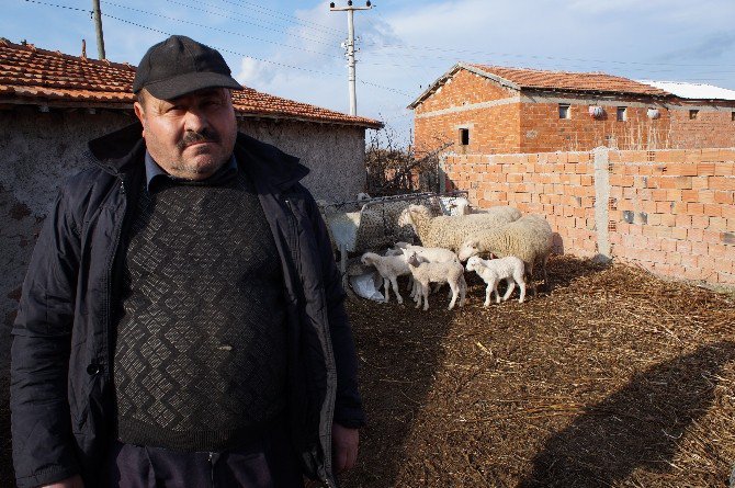 "Devlet Desteklemeli Çiftlik Kuruyoruz’ Diyerek Köylüyü Dolandırdılar