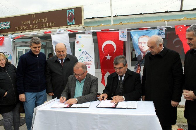 Hayvanlar İçin Röntgen Cihazı Hizmete Girdi