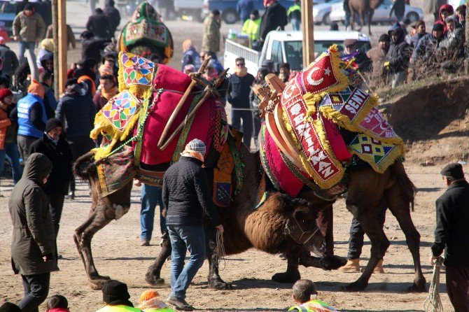 Bergama’da 120 Devenin Güreşi Nefes Kesti