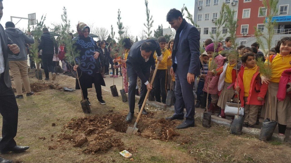 Öğretmen Ve Öğrencilerden Örnek Proje