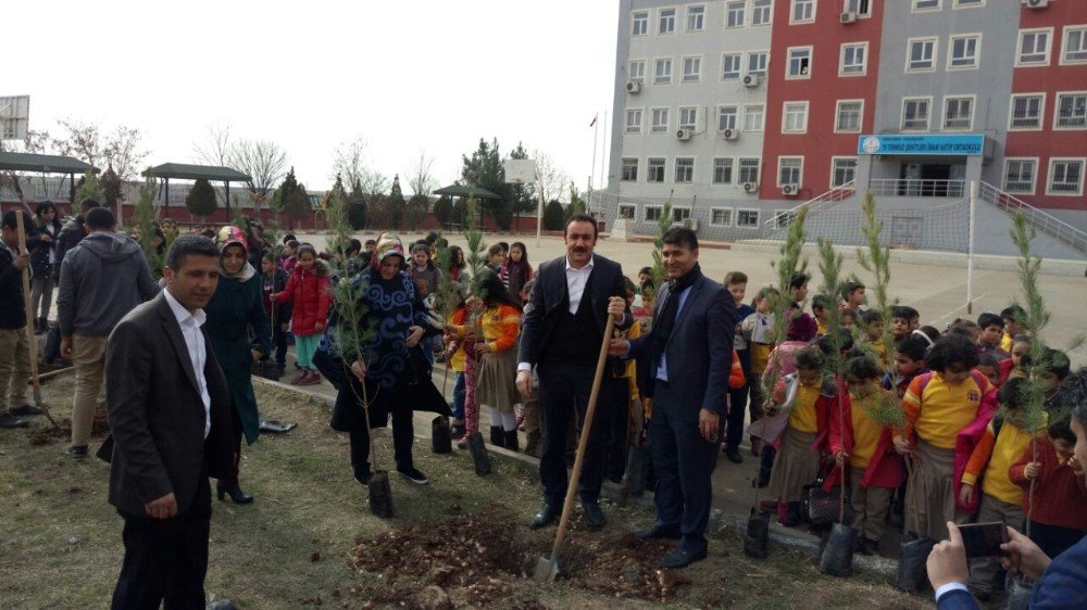 Öğretmen Ve Öğrencilerden Örnek Proje