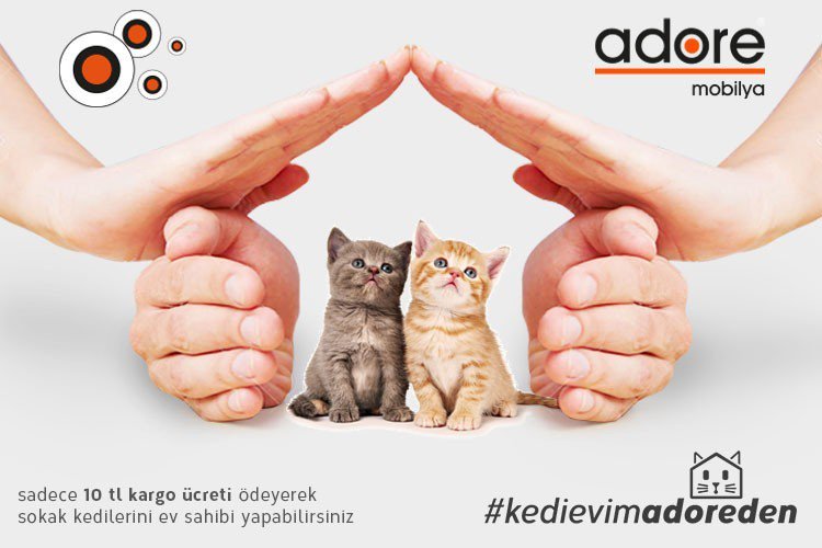 Atıl Malzemeler Kedi Evi Oluyor