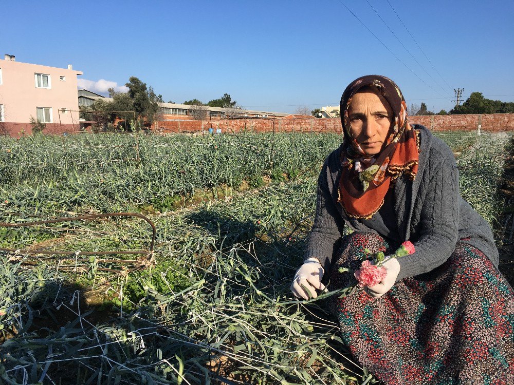 Satıcılar Fiyatlardan Feragat Etti, Sevgililer Çiçeksiz Kalmadı