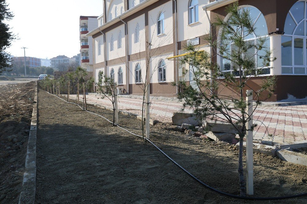 Hz. Ebu Bekir Camii’nin Çevresi Fidanlarla Donatıldı