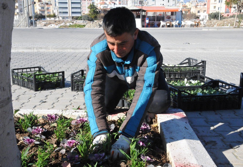 Erdemli’de Parklarda Bahar Hazırlığı Başladı