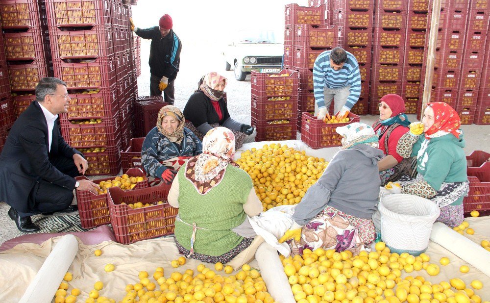 Başkan Turgut, Meyve Ve Sebze Hali Esnafını Ziyaret Etti