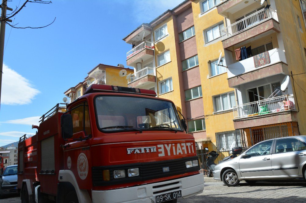 Söke’de Baca Yangını Korkuttu