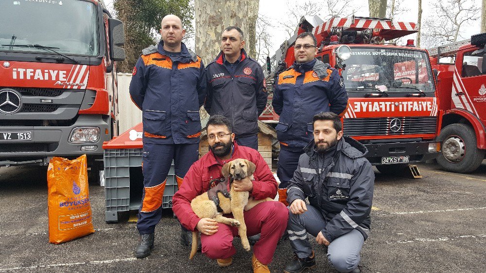 Kuyu Yeni Evine Kavuştu